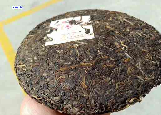 大印山春尖饼茶价格-大印山普洱茶2007春尖