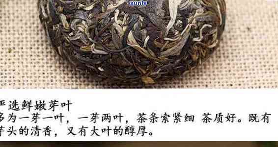 凤凰沱茶口感怎么样-凤凰沱茶口感怎么样啊