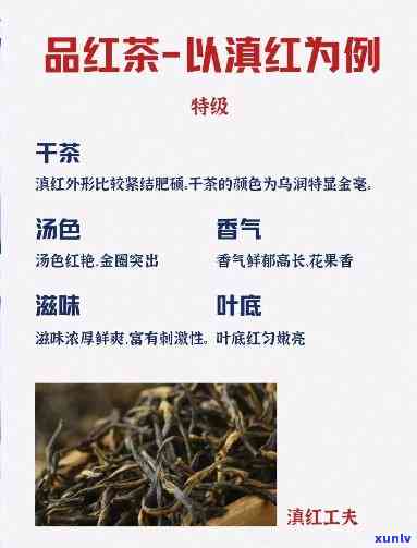 工夫红茶品质特点及审评 *** ，探究工夫红茶的品质特点及其审评 *** 