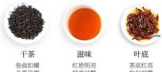 花香红茶是什么品种，揭示花香红茶的神秘面纱：它属于哪种茶品种？