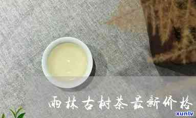 雨林古茶坊真珠价格，探究雨林古茶坊真珠的价格：一份详尽的市场分析报告