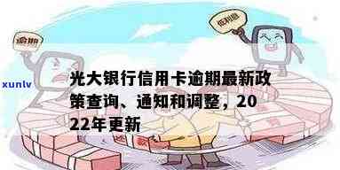 光大银行逾期政策查询，深入熟悉光大银行逾期政策：全面解析与查询指南