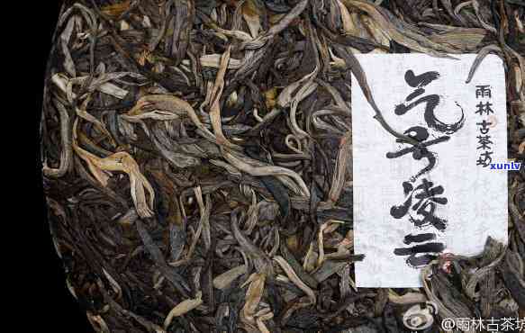 雨林古茶坊贤藏价格-雨林古茶坊茶叶价格