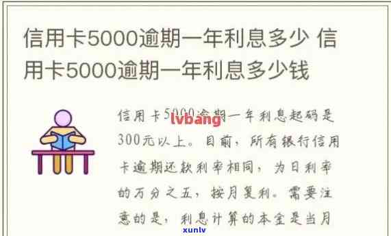 中信银行信用卡5000元逾期利息计算  及金额