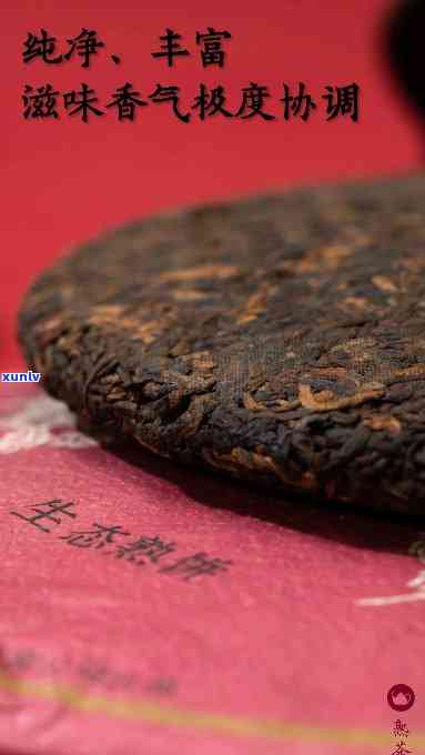 番顺茶业礼遇：熟茶品质如何？全面评测