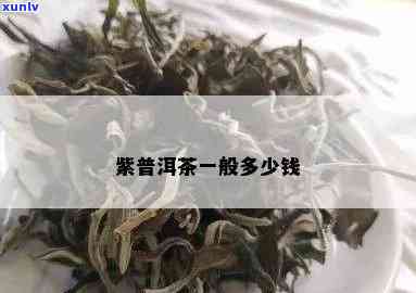 茗月紫茶茶什么价格-茗月紫茶的价格