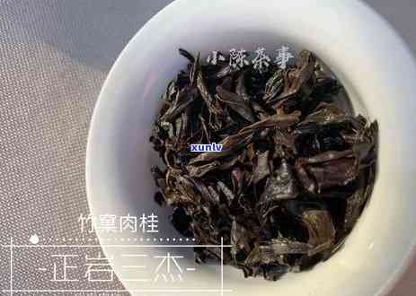 茶的执行标准是什么意思，了解茶的执行标准：从定义到实际应用