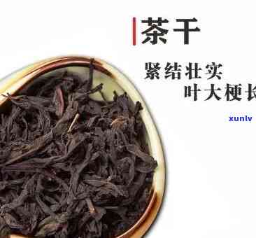 莱芜干烘茶怎么样，深度解析：莱芜干烘茶究竟如何？口感、功效全揭秘！