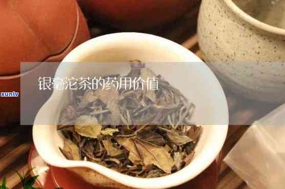 银毫沱茶的药用价值-银毫沱茶的药用价值和功效