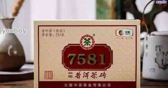 全面解析：中茶7571、7581与7741的区别及特点