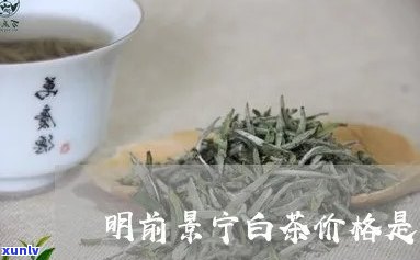 景明茶什么价格-景明茶什么价格能买到