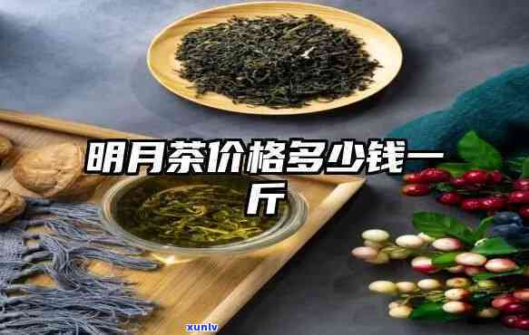 景明茶什么价格-景明茶什么价格能买到