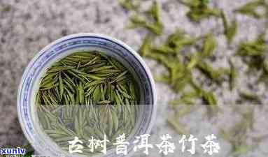 竹子木茶价格-竹子古树茶价格