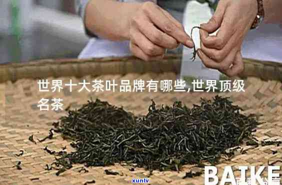 世界上最贵的茶叶排名，揭秘世界顶级茶叶：品质与价格的双重较量