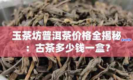 玉茶坊的茶：口感、销量全面解析