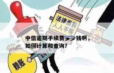 中信逾期8万一年的费用是多少？包括利息和其他费用？