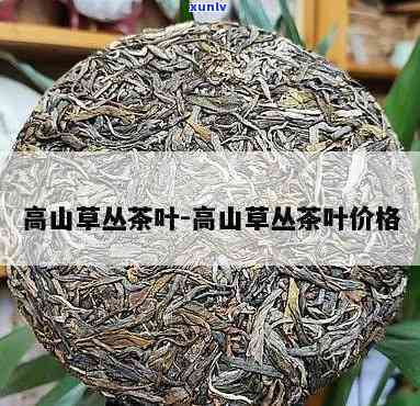 高山茶多少钱，价格查询：高山茶多少钱？