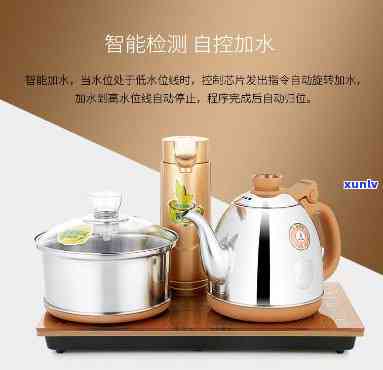 金灶蒸茶器图片价格-金灶蒸茶器图片价格大全