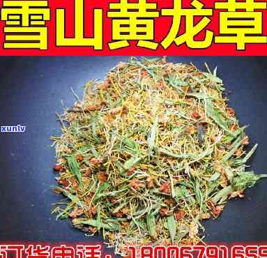 黄龙草有什么功效，探秘黄龙草：揭示其神奇的功效与作用