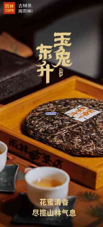 雨林古茶坊的茶怎么样？茶叶价格如何？