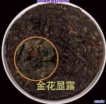 茯茶里的金花是不是霉菌，茯茶中的'金花'：是霉菌还是有益菌？