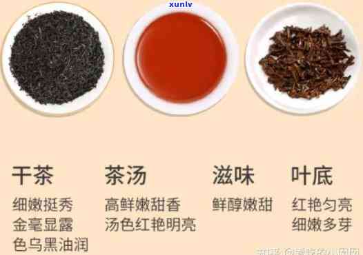 红茶买什么价格的好喝？选购指南