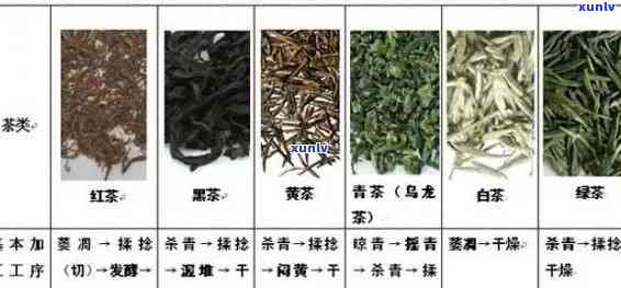 茶的品质特点，探析茶叶的品质特点：从产地、工艺到口感全方位解析