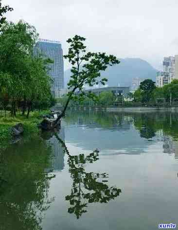 平阳翡翠湖边，探秘平阳翡翠湖：湖光山色间的自然之美