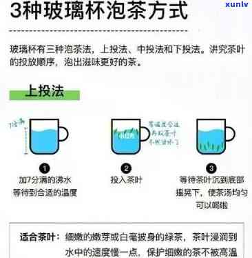 全面解析：玻璃泡茶壶的正确用法、视频教程与图解