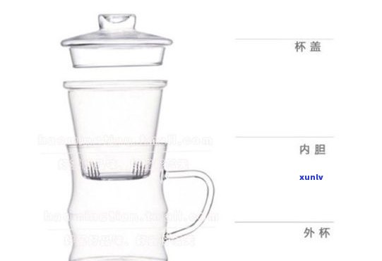 全面解析：玻璃泡茶壶的正确用法、视频教程与图解