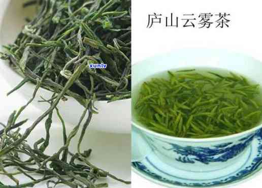 江西庐山云雾茶怎么样？江西特产庐山云雾茶，被誉为江西名茶，口感醇厚，香气独特，值得一试！