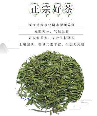 商南泉茗茶特级价格表：详细信息与图片一览