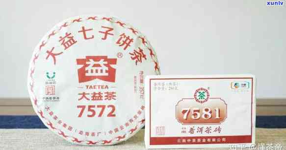 中茶7571与7581：哪个更好？全面比较解析