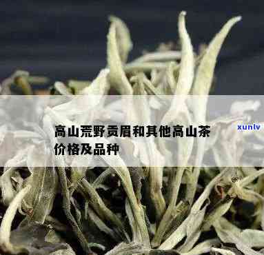 高山茶的价格与品种解析