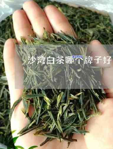 白沙溪哪款茶好，推荐：白沙溪的优质茶叶，您知道哪款吗？