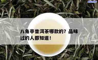 八角亭生茶哪个好喝，《八角亭生茶哪款更好喝？一次品尝让你找到更爱》