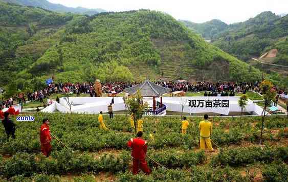 湖北汉家氏茶园旅游景区：探索湖北汉家氏茶业的历与文化，品尝湖北汉家氏茶旗舰产品的美味