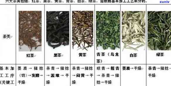 茶的分类：六大茶类特点与代表名茶全解析