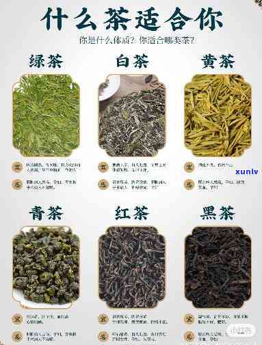 茶的分类：六大茶类特点与代表名茶全解析