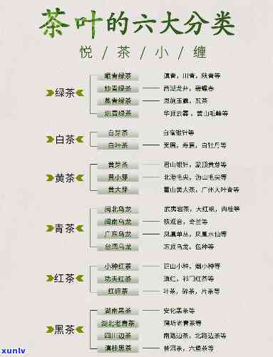 茶的分类及分类依据-茶的分类及分类依据是什么