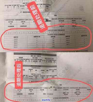 上海资信逾期-上海资信逾期多久恢复