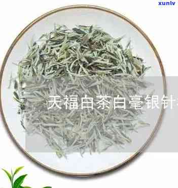 天福白毫银针茶价格-天福白毫银针茶价格表和图片