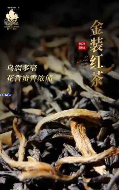 金帆红茶价格尊享版-金帆红茶价格尊享版多少钱