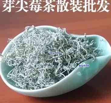 芽尖莓茶多少钱一斤，揭秘芽尖莓茶价格：一斤要多少？