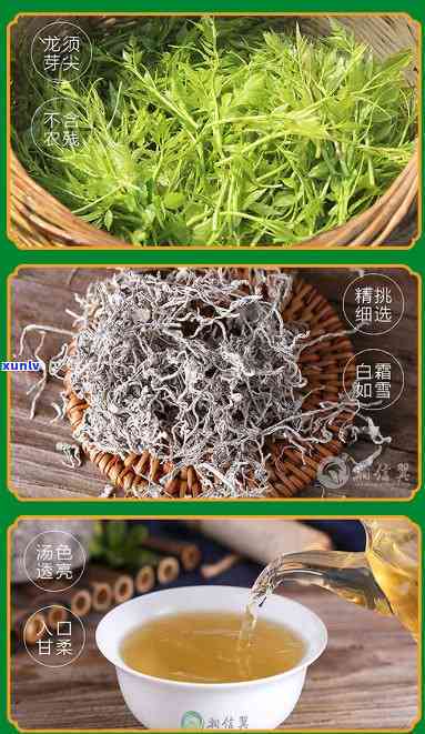 芽尖莓茶的价格一包-芽尖莓茶多少钱一斤