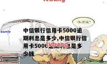 中信银行信用卡5000元逾期利息是多少？