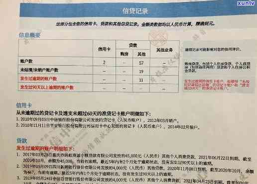 上海记录查询官方平台：查询、下载一站式服务