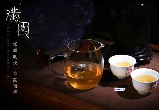 番顺茶业2021，番顺茶业2021：新的一年，新的开始！