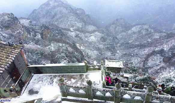 武当仙山道茶价格表和图片，探索武当仙山之道 - 一览道茶价格表与精美图片