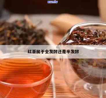 门红茶发酵程度高还是正山小种发酵程度高，门红茶与正山小种：发酵程度的比较与探讨